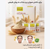 پودر جوانهگندم