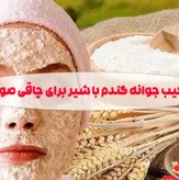 پودر جوانهگندم